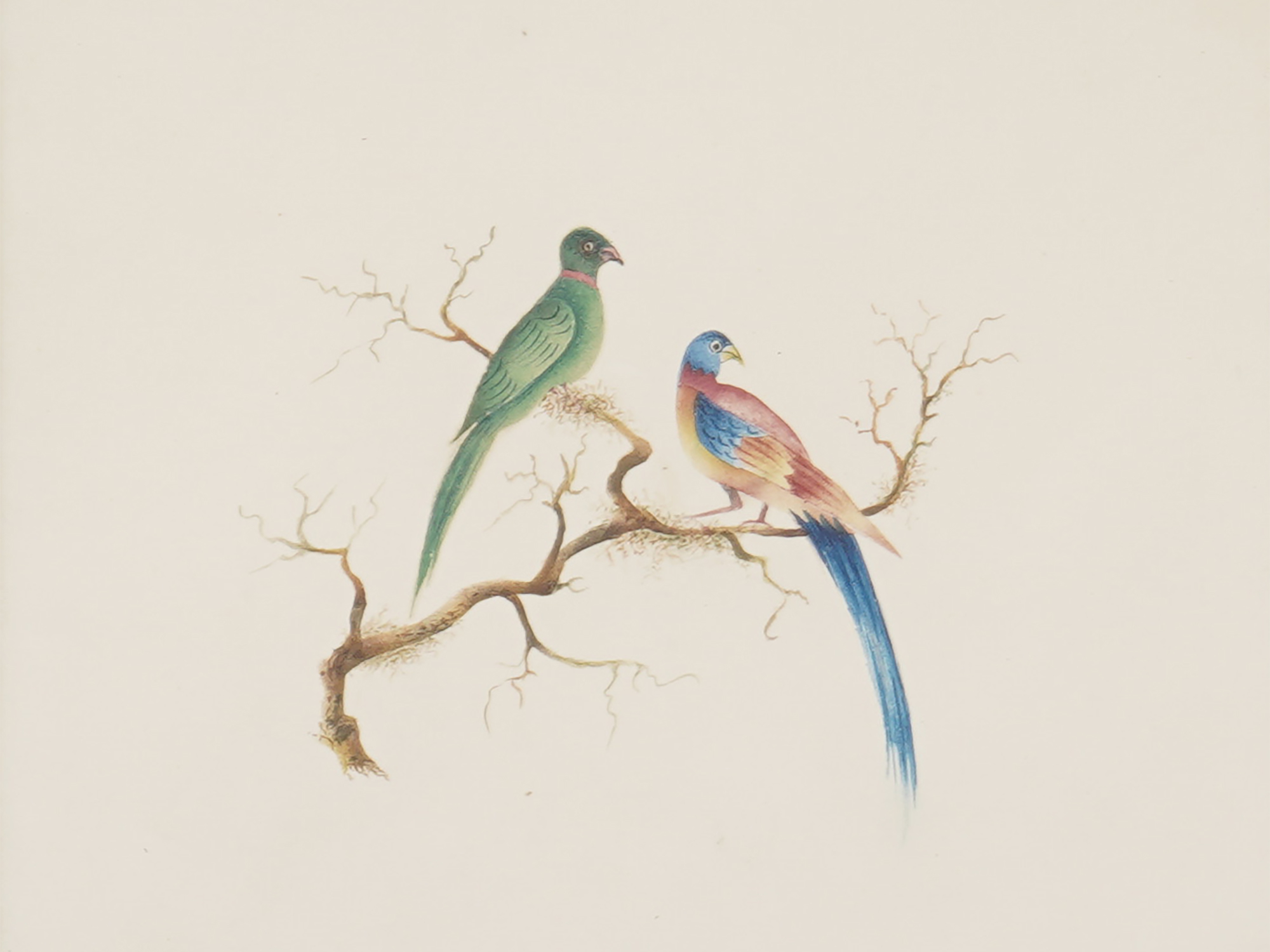 ORIENTAL TWO BIRDS WATERCOLOR PAINTING FRAMED PIC-1